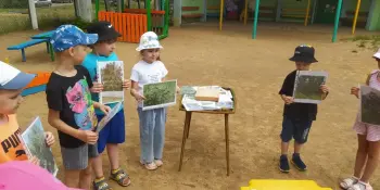 Наблюдения в природе на экологической тропе