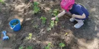 Весенняя инициатива "Зеленый огород"