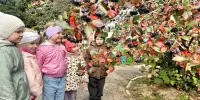 Осенний детектив: как дети исследуют тайны природы в детском саду